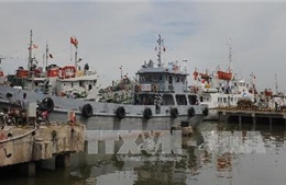 Thực hiện thủ tục biên phòng điện tử cảng biển tại Bà Rịa-Vũng Tàu